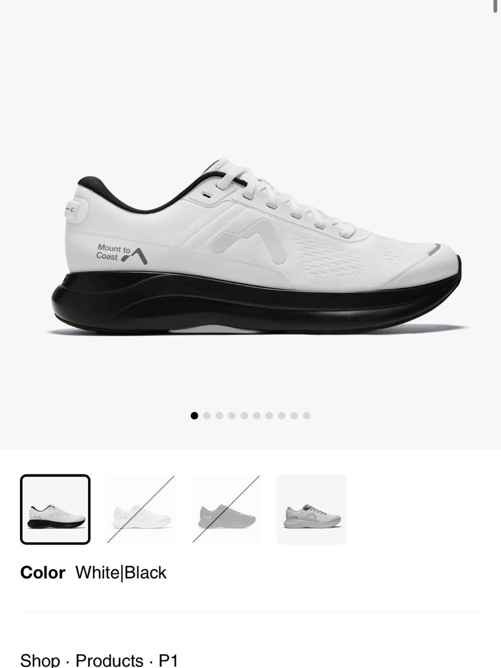 Mount to Coast P1 Stability running shoe